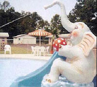 Elephant Spray Slide Model 1800-12