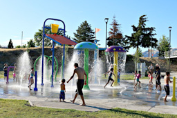 5' Mushroom Spray Fountain Model 1800-18