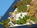 Rocky Mtn Pavilion Series Model 98-RE23037-6T - Green Roof detail