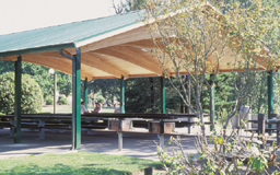 Siskiyou Mountain Pavilion Series Model 98-S36040-4T